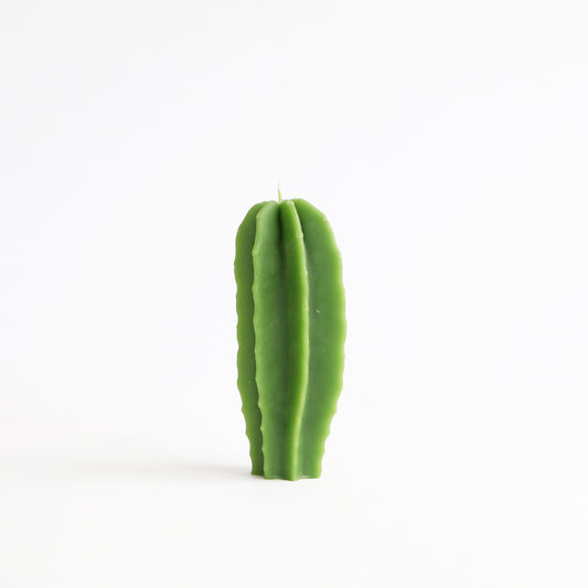 Beeswax Cactus Candle