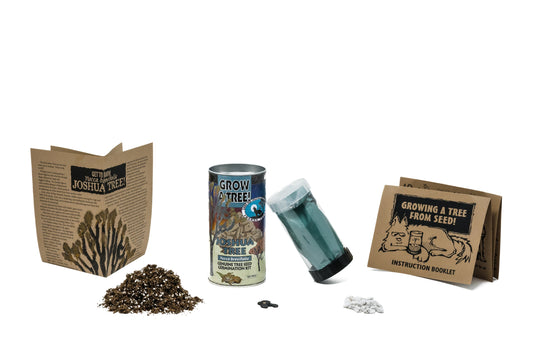 Jonsteens Joshua Tree Seed Grow Kit