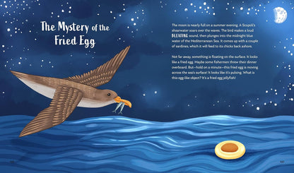 Secrets of the Ocean: 15 Bedtime Stories Inspired by Nature