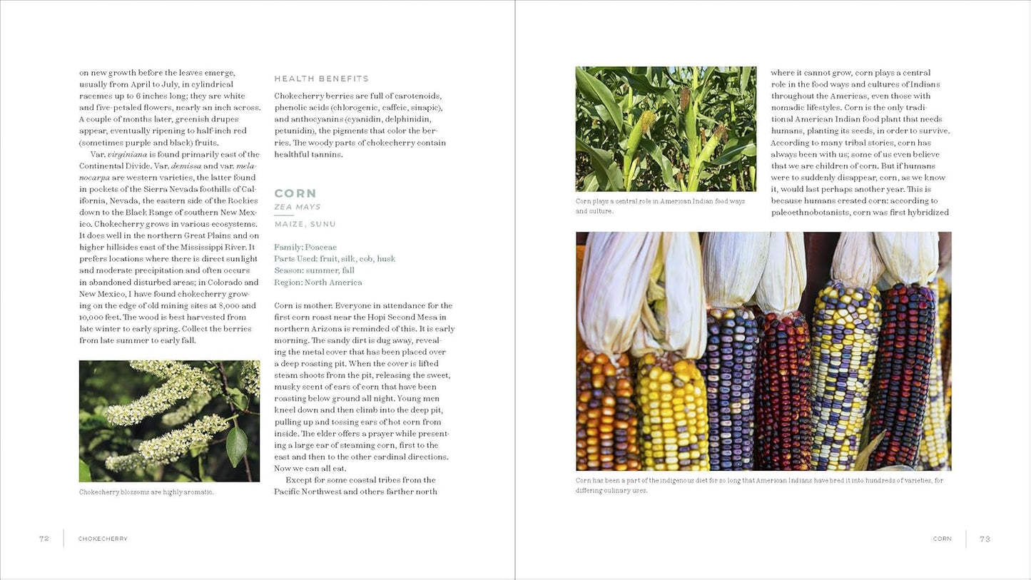Iwigara: American Indian Ethnobotanical Traditions & Science