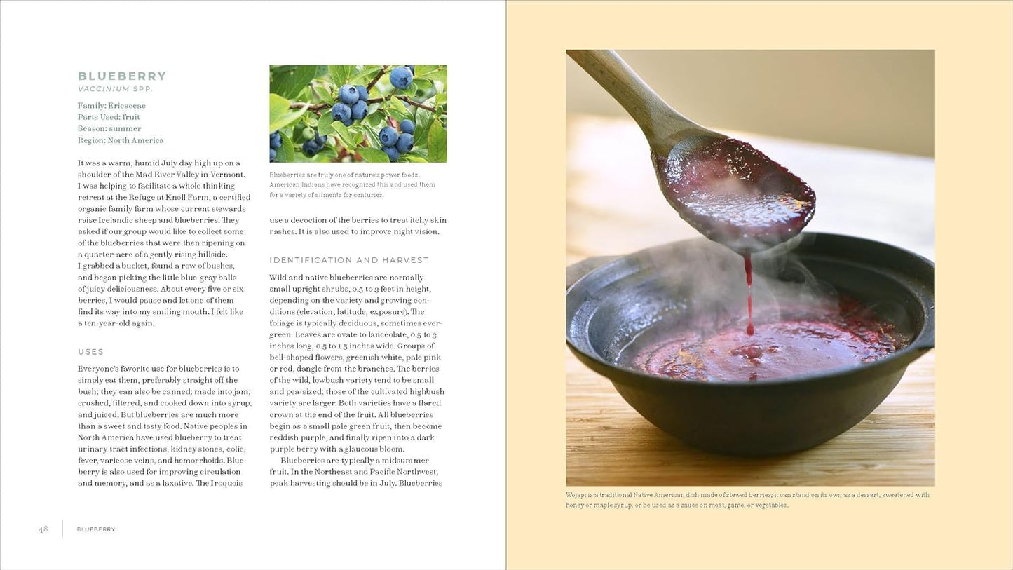 Iwigara: American Indian Ethnobotanical Traditions & Science