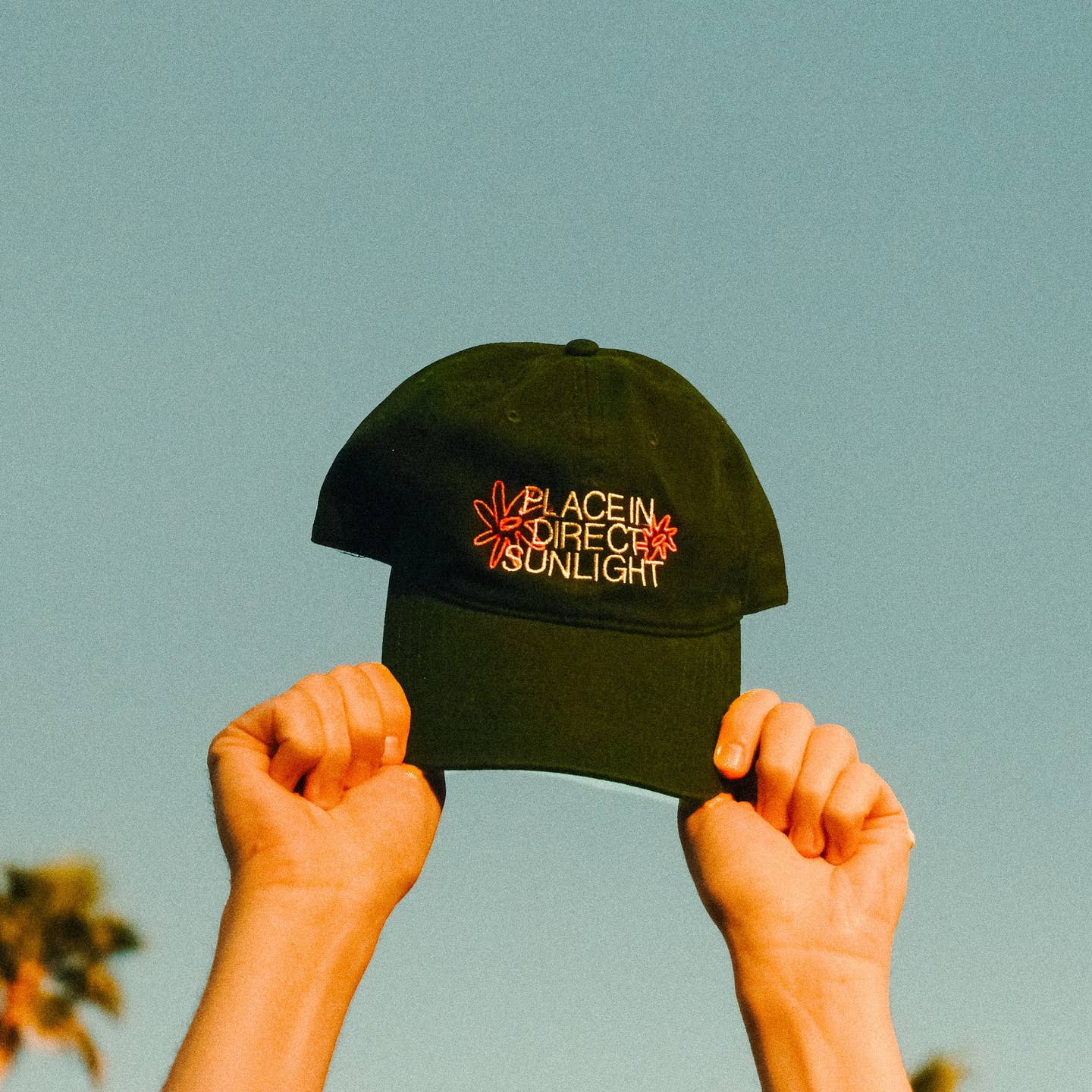 Black cap with text held up against a blue sky Place in Direct Sunlight Embroidered Hat