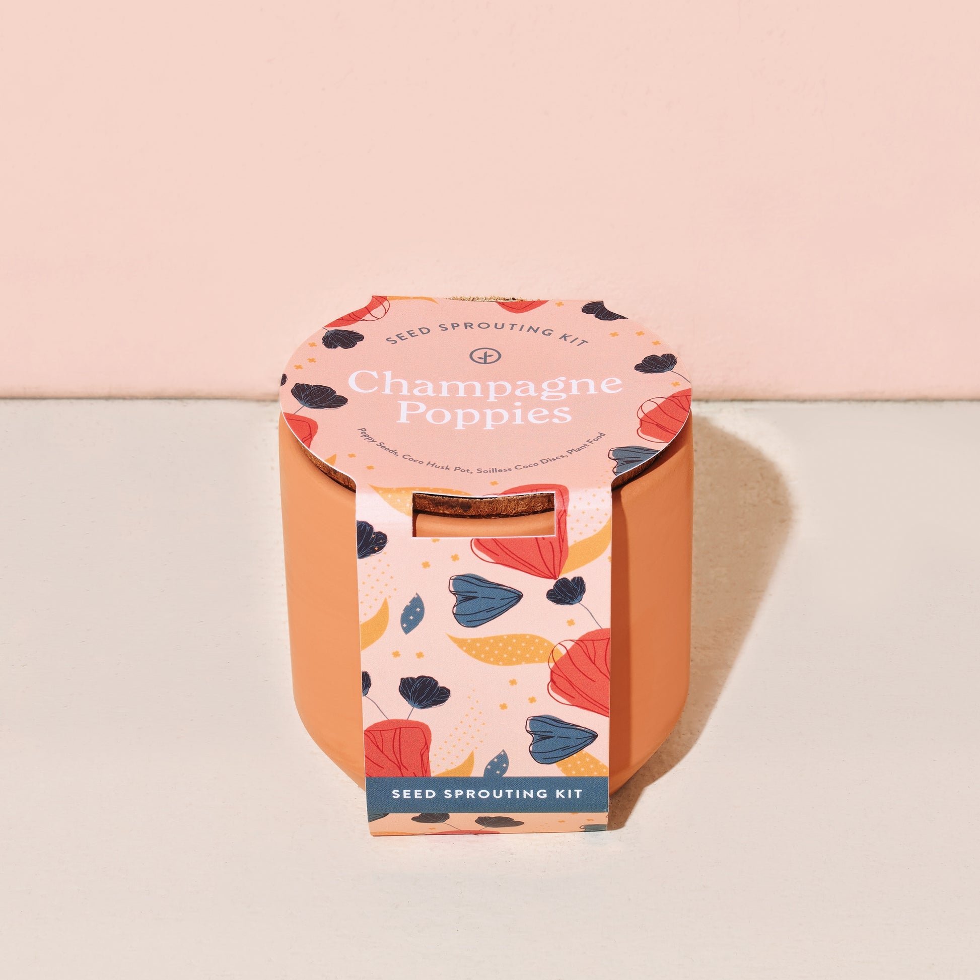 modern sprout tiny terracotta grow kits