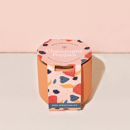 modern sprout tiny terracotta grow kits