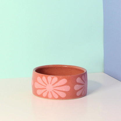 Wheel thrown stoneware bowls for your pets. Speckled Buff clay with matte and gloss glazes. Glazes are pet safe