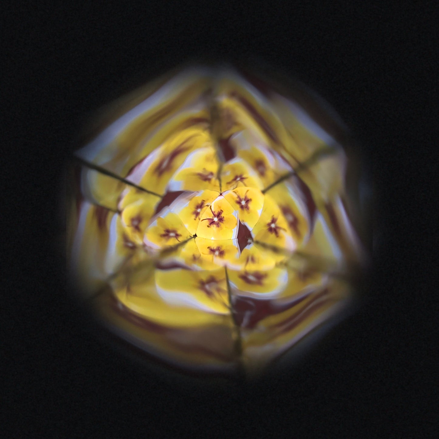 Janod Flower Kaleidoscope