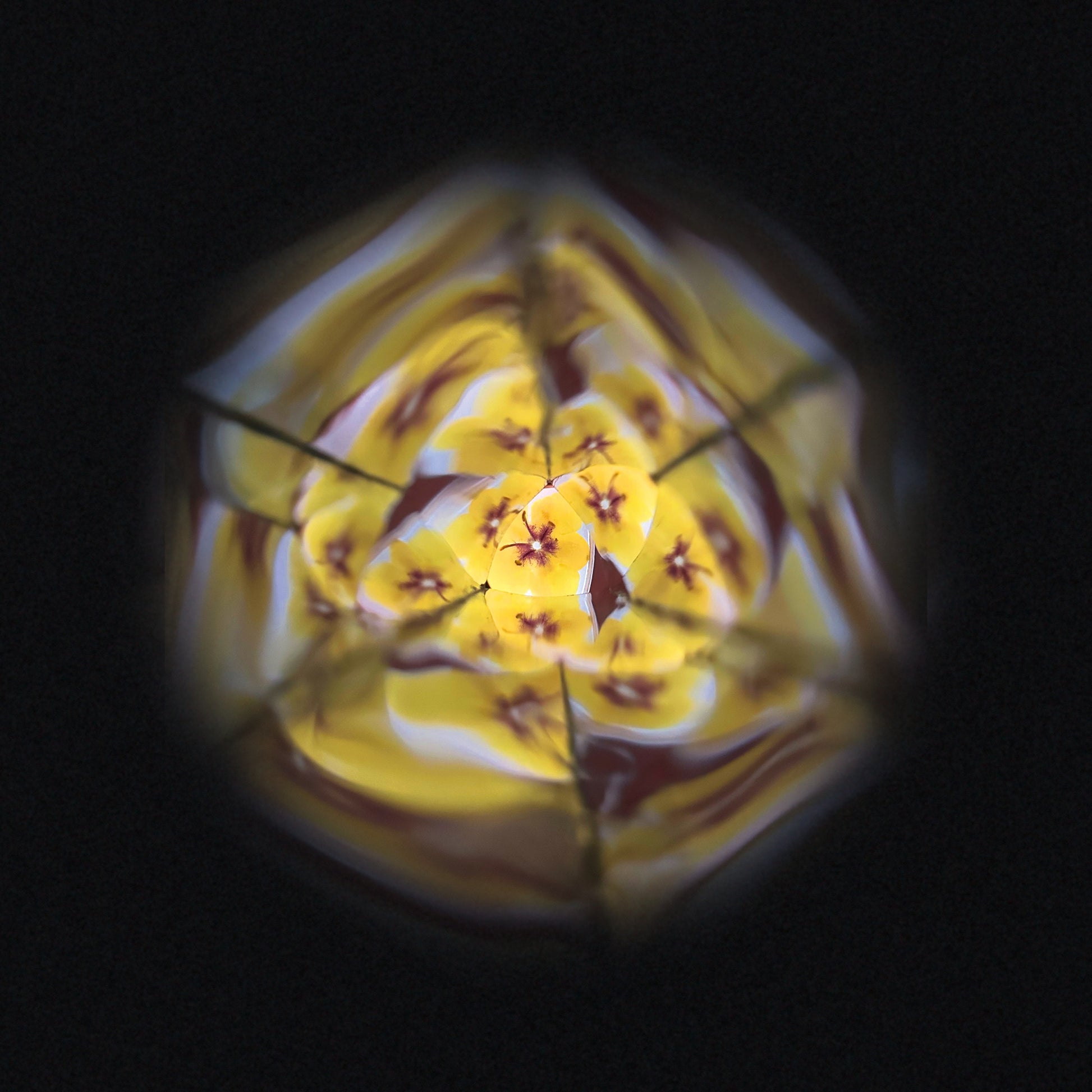 Janod Flower Kaleidoscope