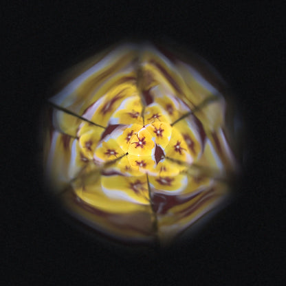 Janod Flower Kaleidoscope