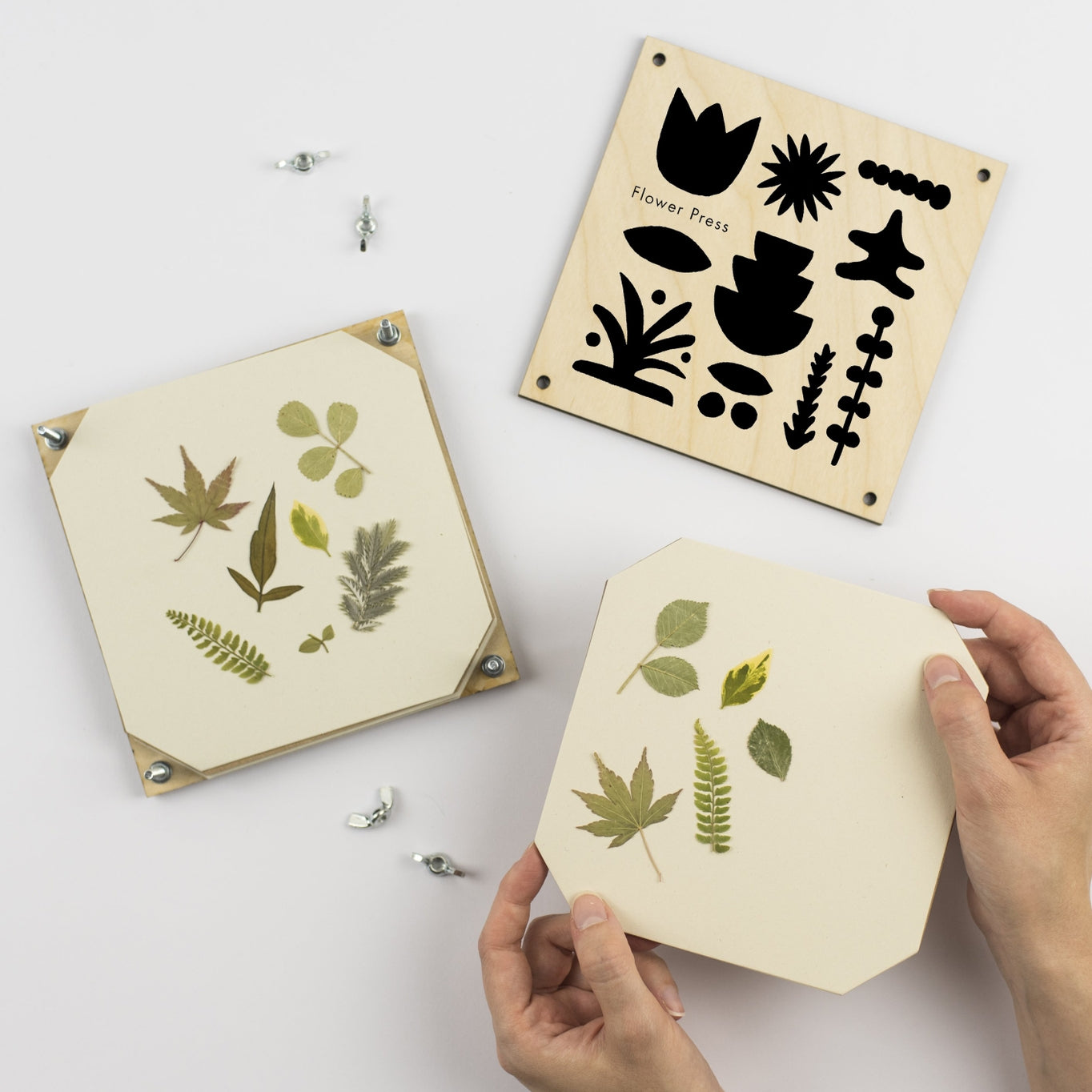 This well-sized flower press allows you to preserve the flowers and leaves you find while out on your wonders. The press comes complete with 5 sheets of corrugated card and 8 of sugar paper to give ample space to press flowers. 
