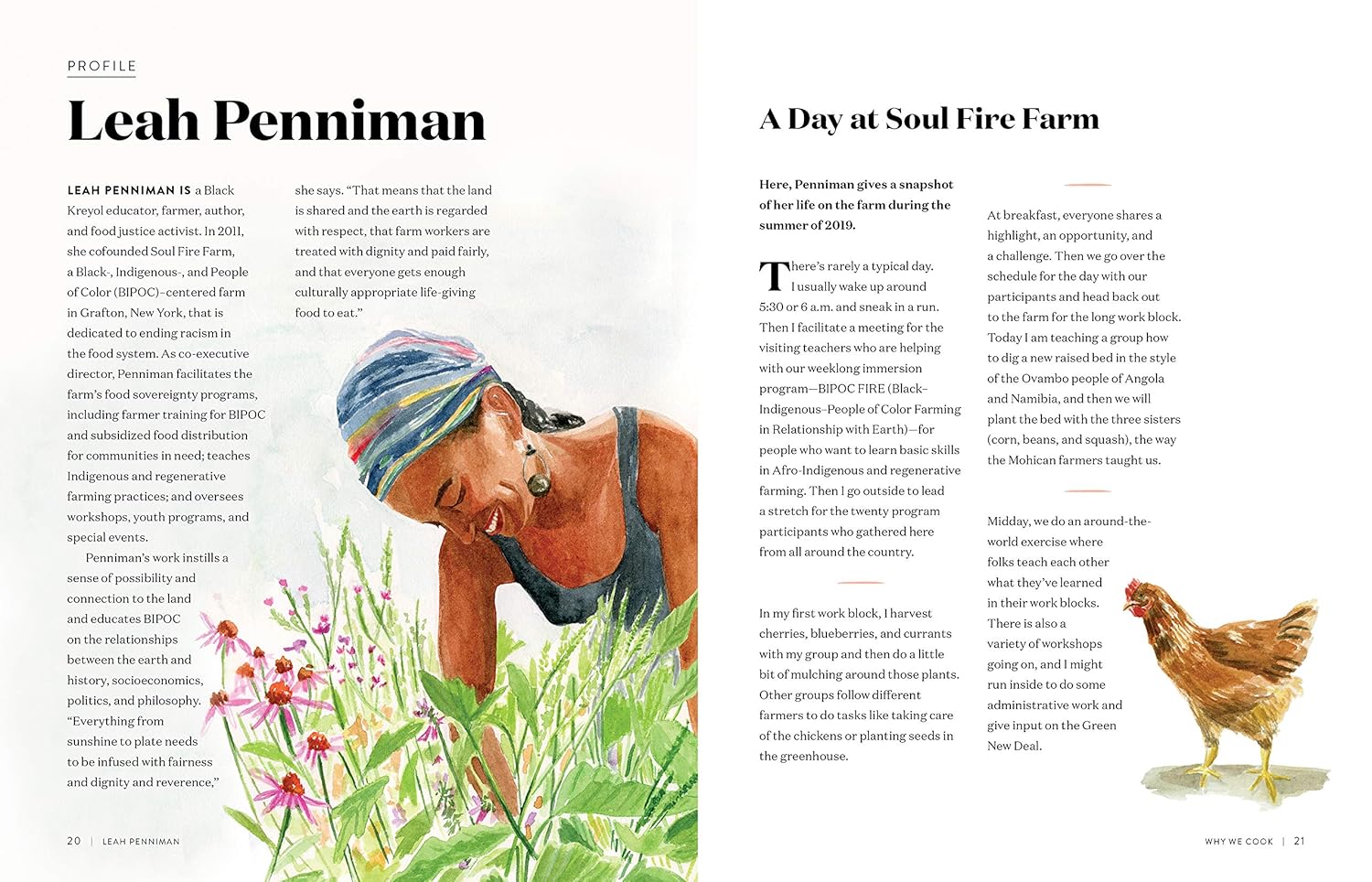 Why We Cook: Women on Food, Identity, and Connection 