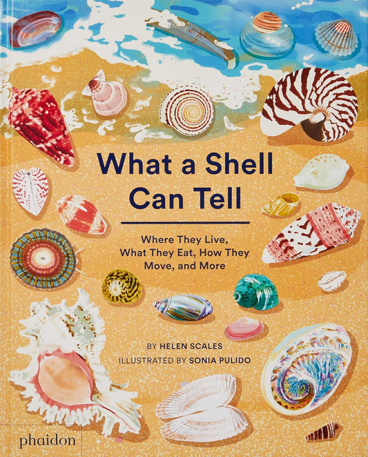 What A Shell Can Tell by Phaidon Press