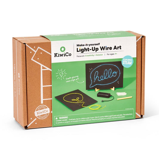 Light-Up Wire Art Kit