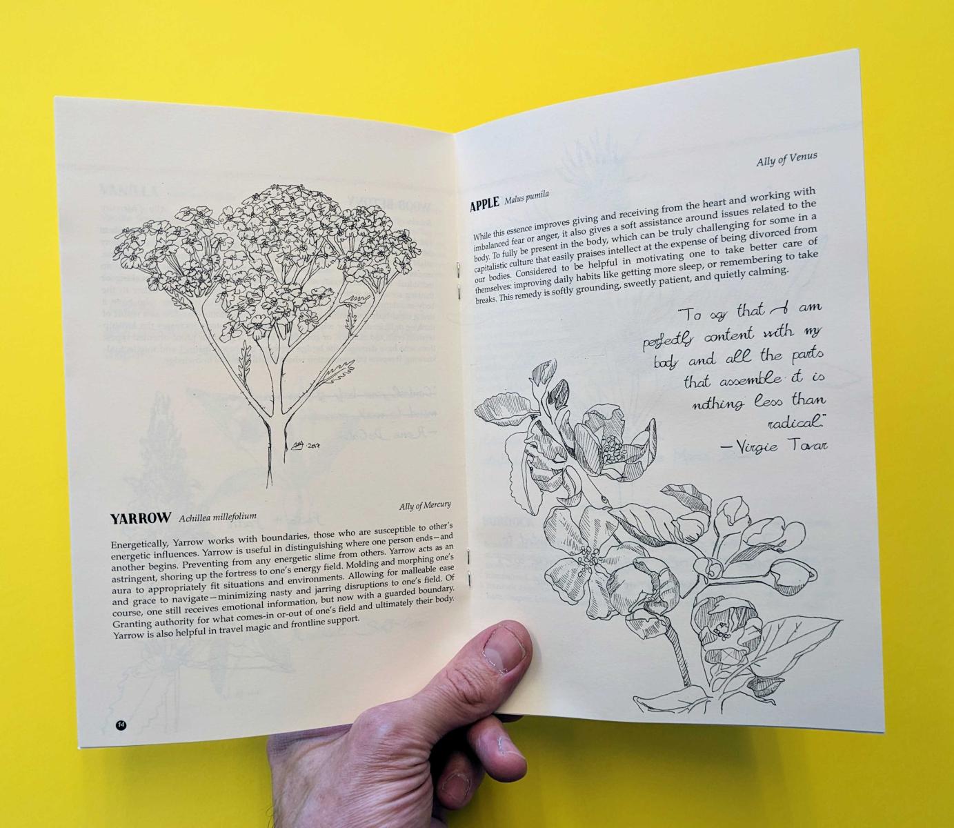Plants Against the Patriarchy Zine