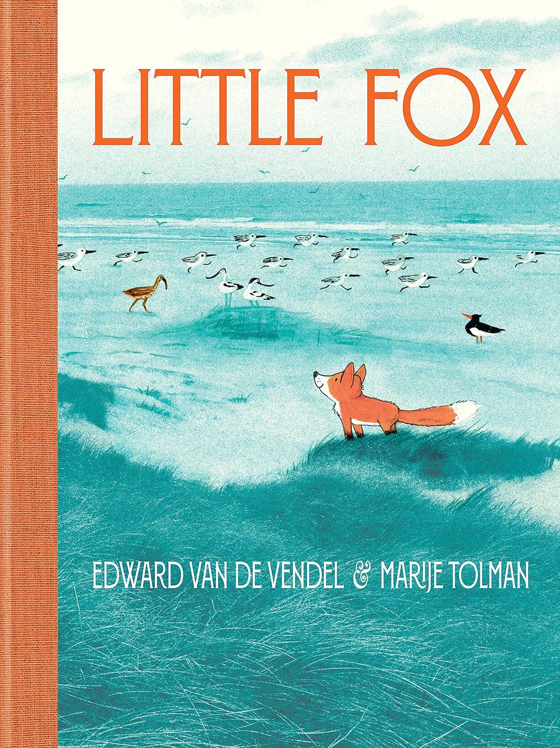 Marije Tolman's ingenious illustrations use a fresh technique that feels like a movie and a dream, starring the cheerful, bright orange Little Fox on grainy mixed media landscapes of blue and green. And when Little Fox wakes up, he's perhaps a little wiser, but still every bit as curious and full of life.