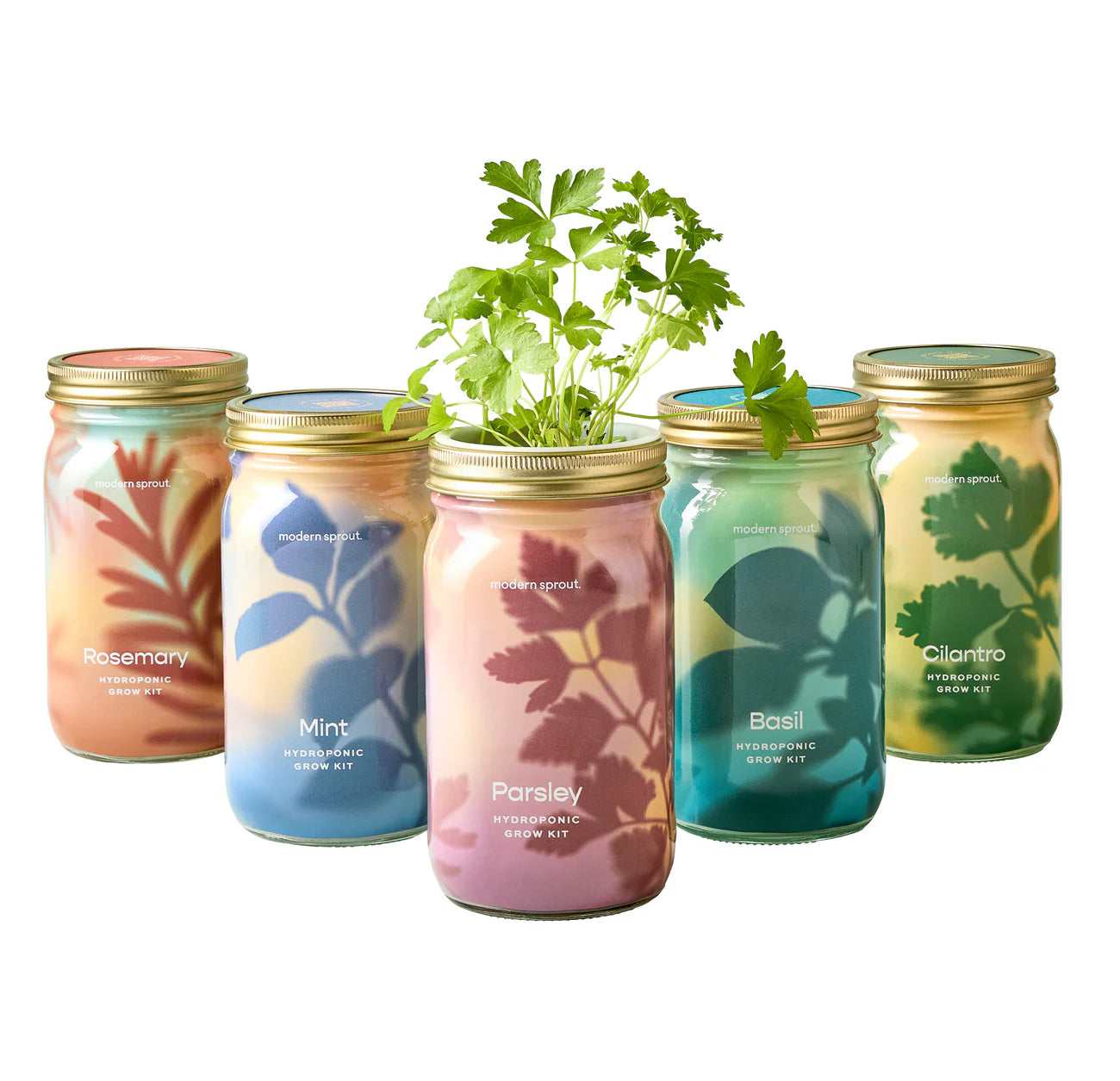 Hydroponic Herb Jars