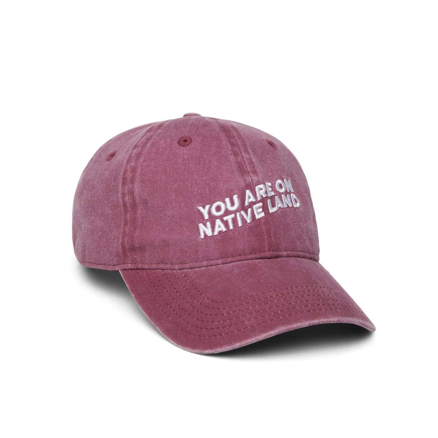 You Are On Native Land Dad Cap