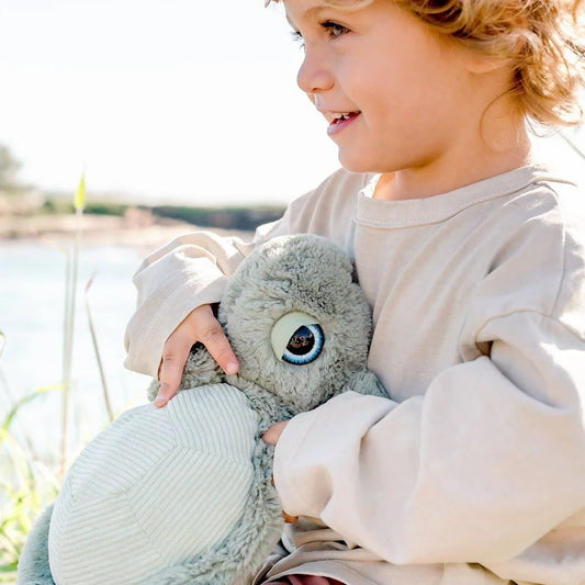 Turtle Stuffed Animal