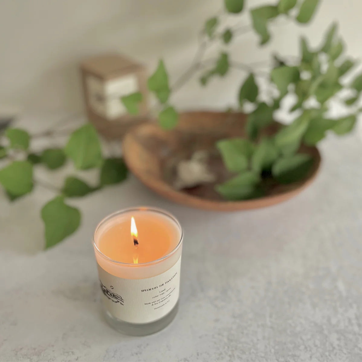 species by the thousands land candle / This hand poured candle is a sweet and calming evocation of the heart of the wilderness, with scents of cedar, sage & grass