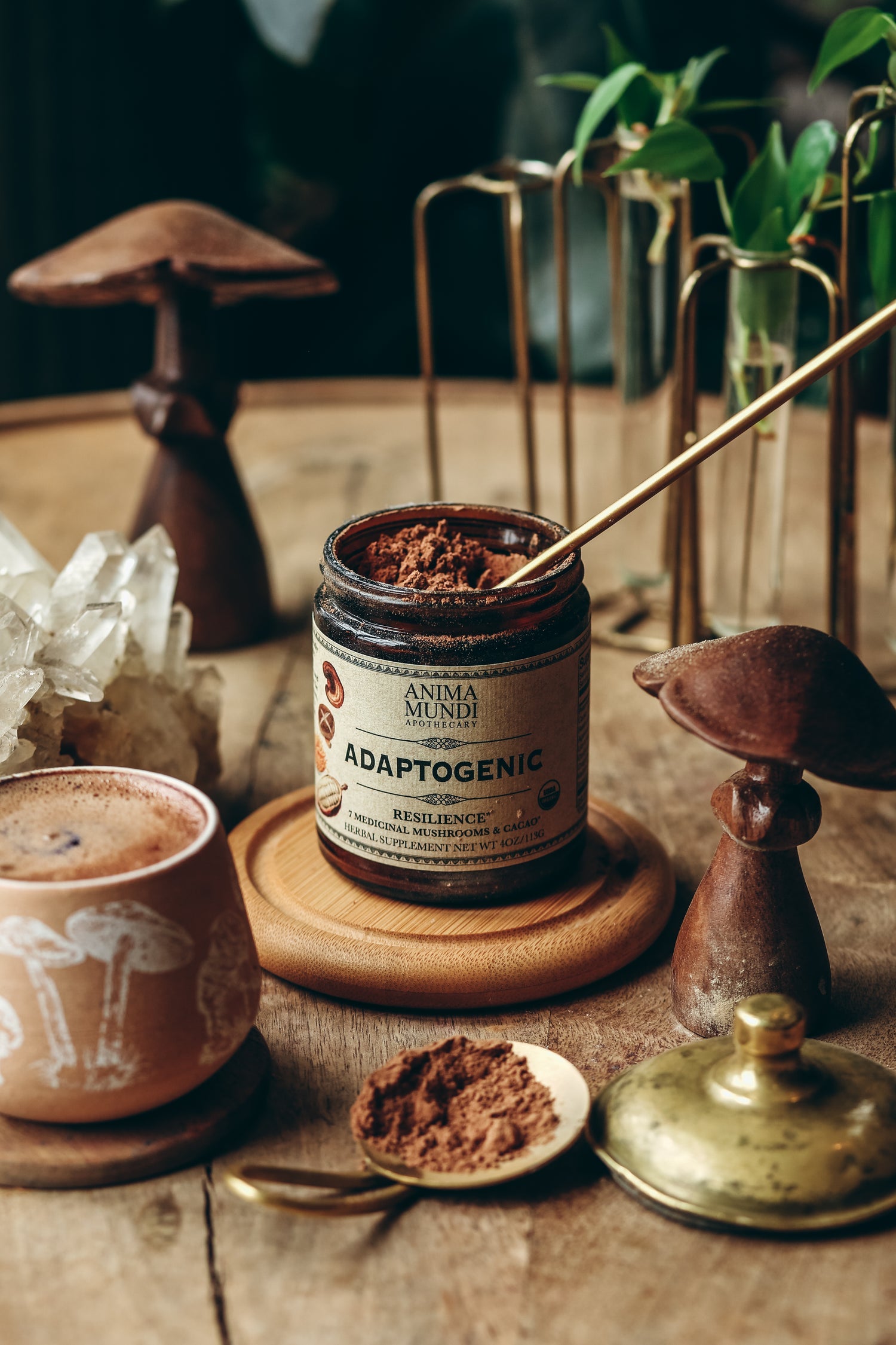 adaptogenic powder / This is one of Anima Mundi's most beloved formulations, combining organic and locally grown Mushroom extract powders with our organic heirloom Cacao. A perfect addition to coffee, tea, smoothies, and more, it contains 25% of the highest grade Cacao, with bioactive cell wall extracted Mushrooms.