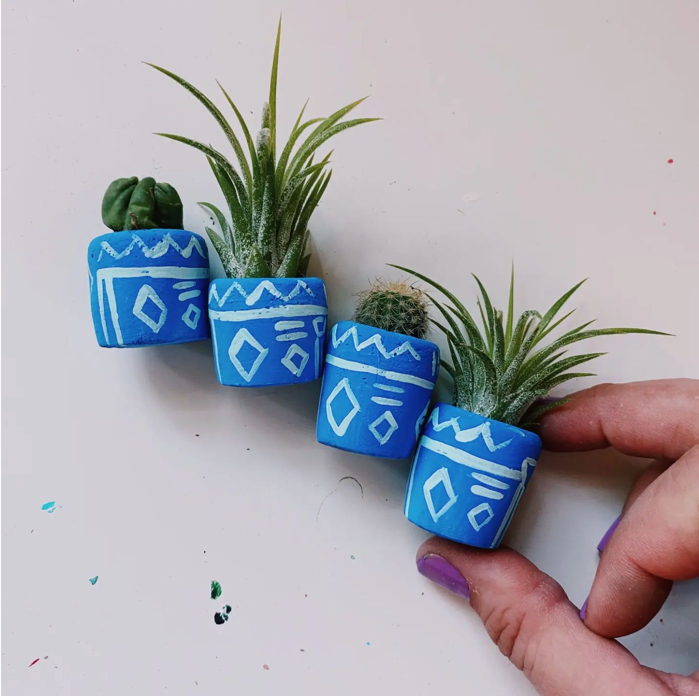 A cute, handmade mini planter made for air plants or succulents.   - handmade with concrete & hand painted. Includes airplant. o'berrys succulents