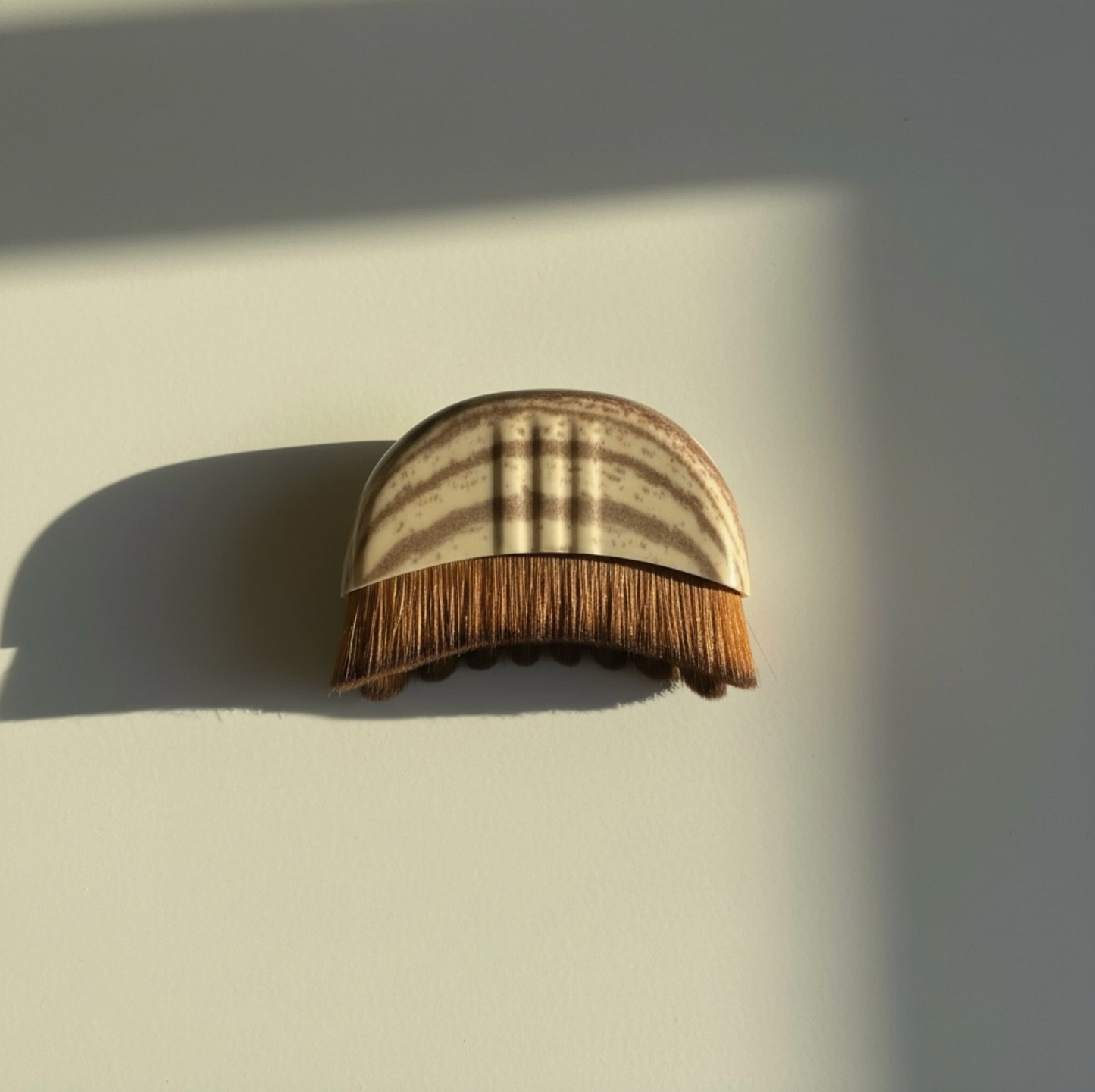Facial Dry Brush