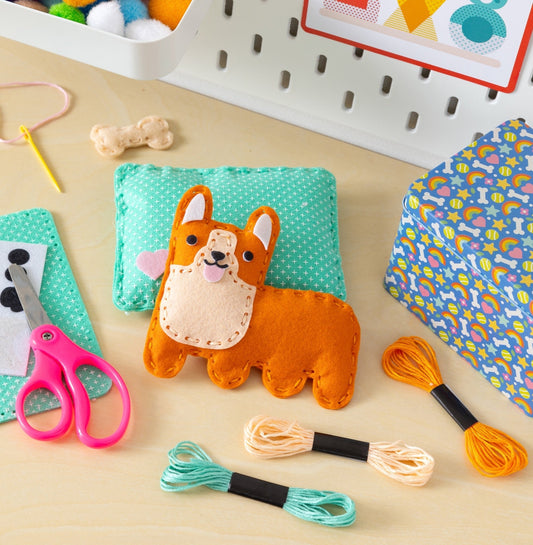 Pocket Pet Craft Kit