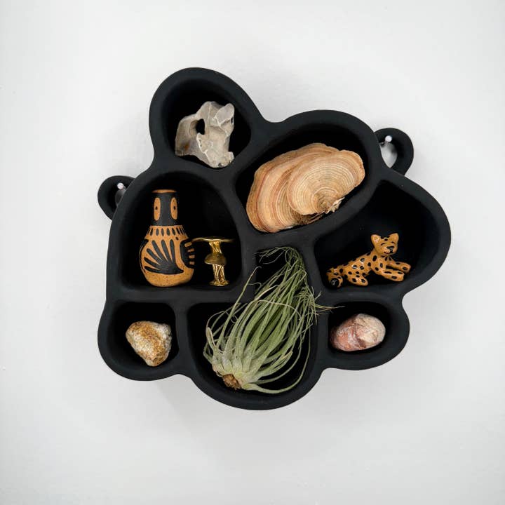 Hanging Treasure Cove No. 3