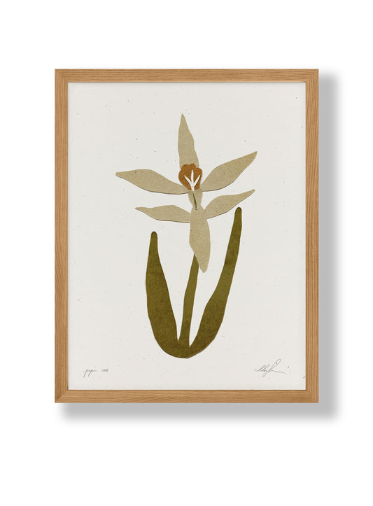 Paper Iris by Coco Shalom. Prints are made with 100% recycled paper, containing 30% post consumer waste, produced with 100% green power and 0% BS.