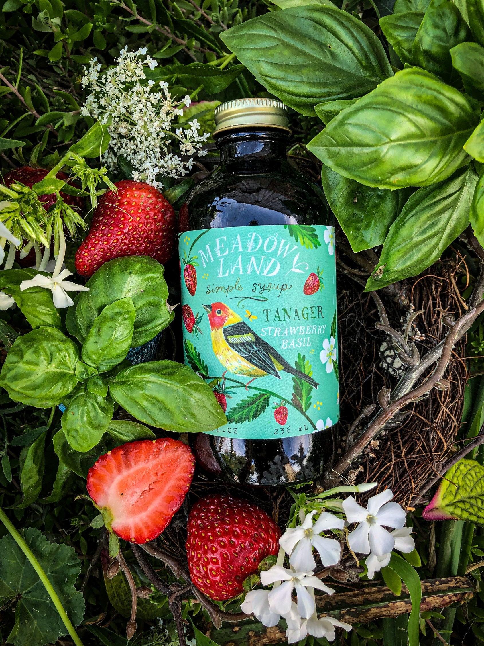 Thread Syrup Tanager Simple Syrup | Thread Spun