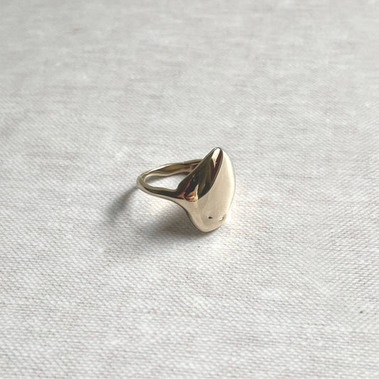The melted signet artisan ring by Species by the Thousands. Hand cast brass in wax.