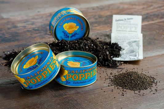 Jonsteen Company California Poppy Seed Grow Kit