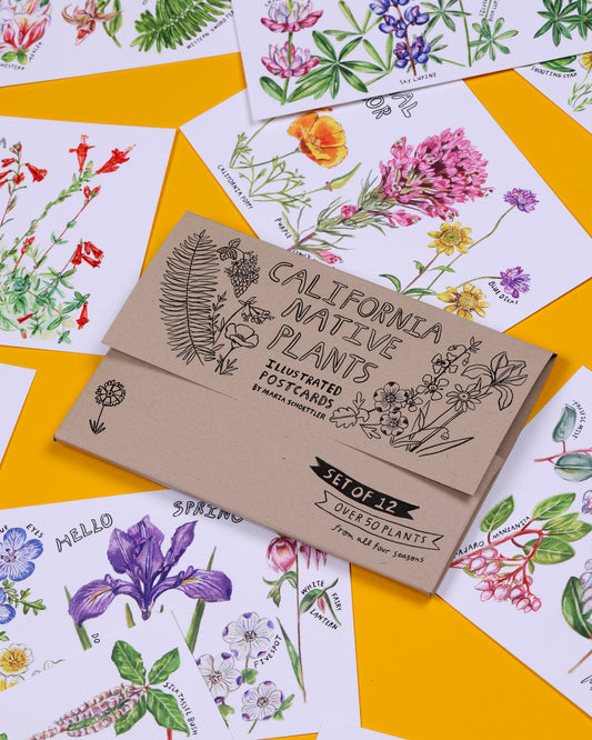 California Native Plants Postcard Set