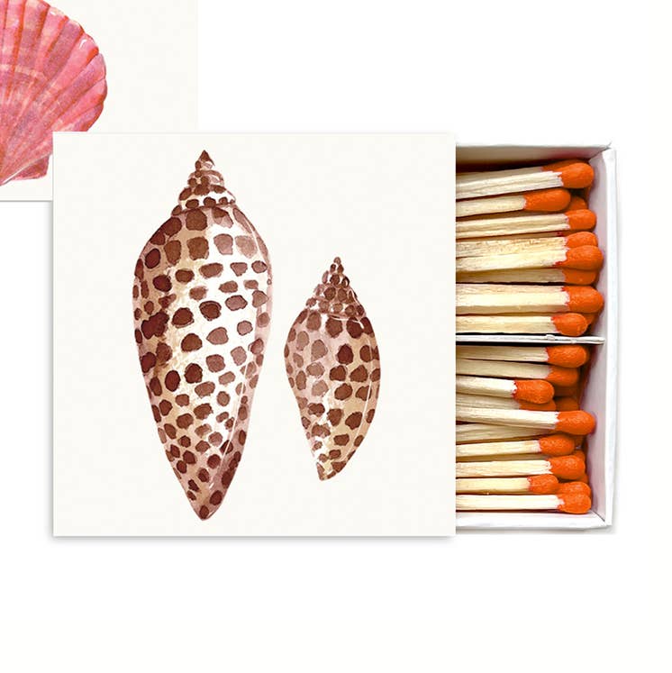 Sea Shell Matchbox