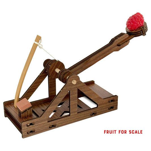 Mini Wooden Catapult