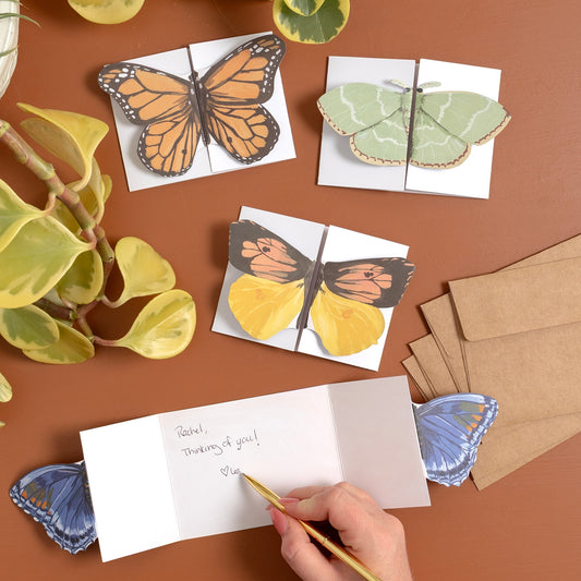 Butterfly Fold-Out Greeting Card Set
