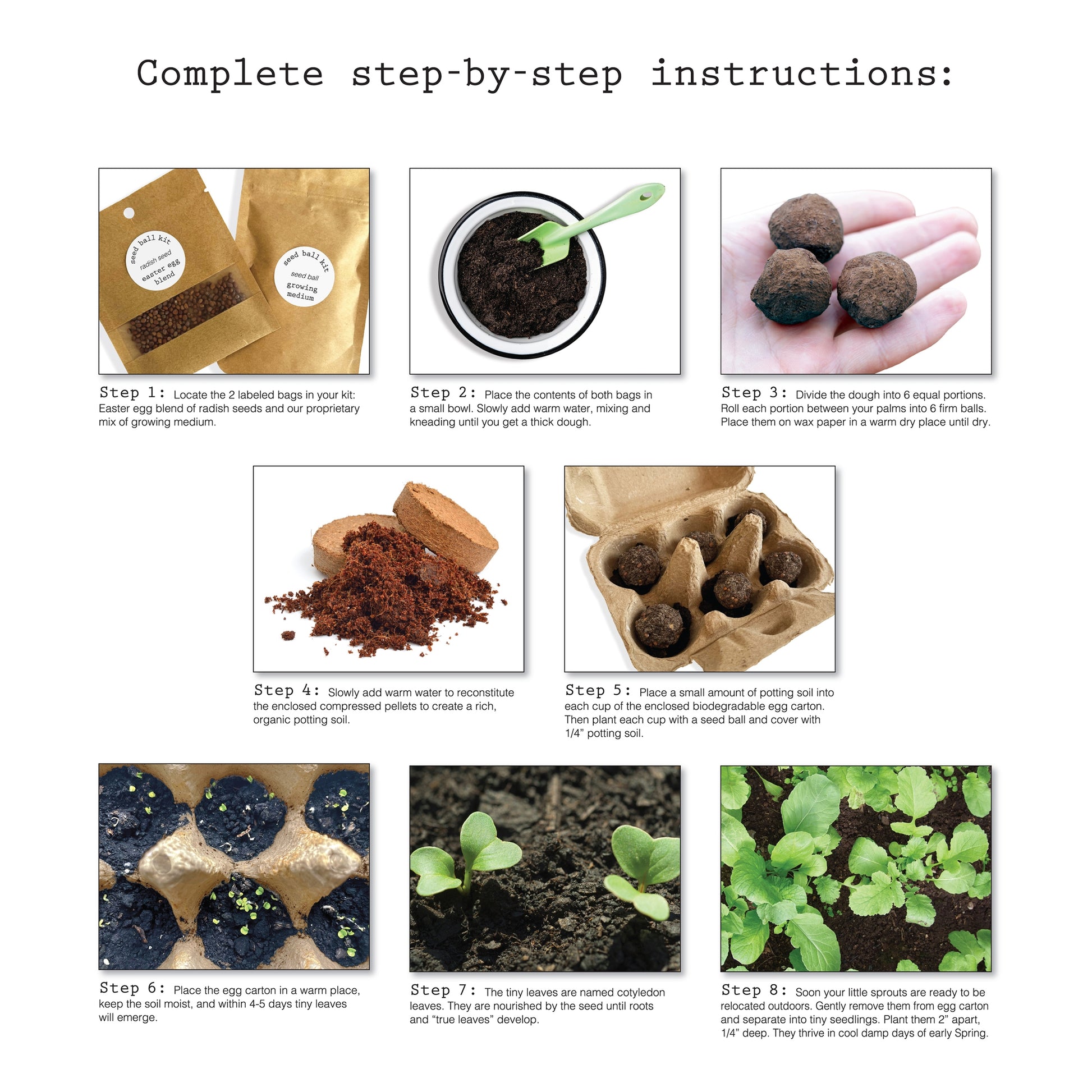 elseware unplug diy radish seed ball kit
