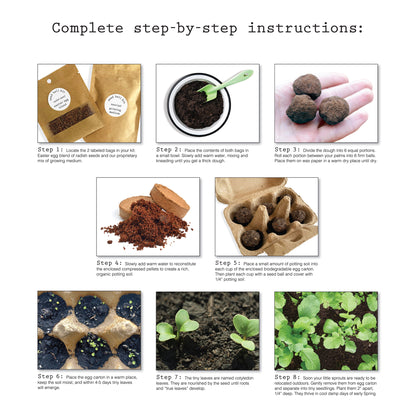elseware unplug diy radish seed ball kit