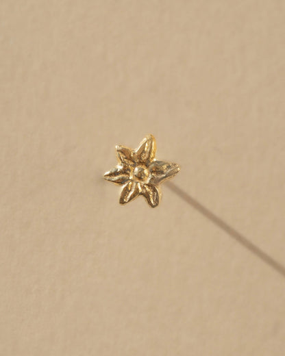 mountaiside stellate studs