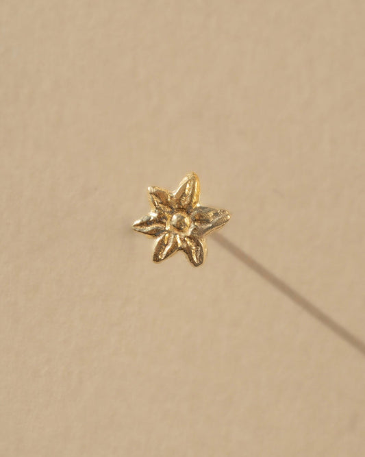 mountaiside stellate studs