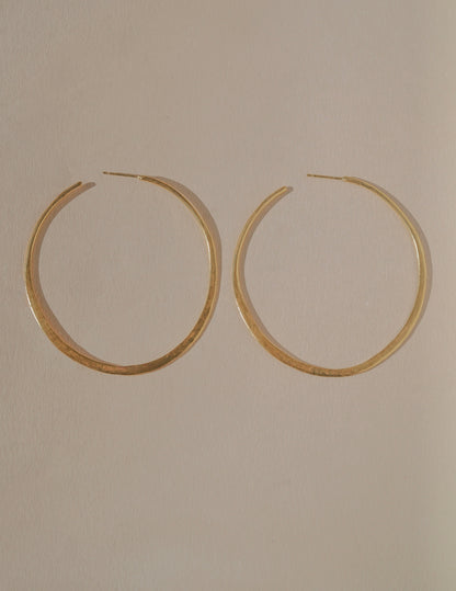 Lasso Earrings