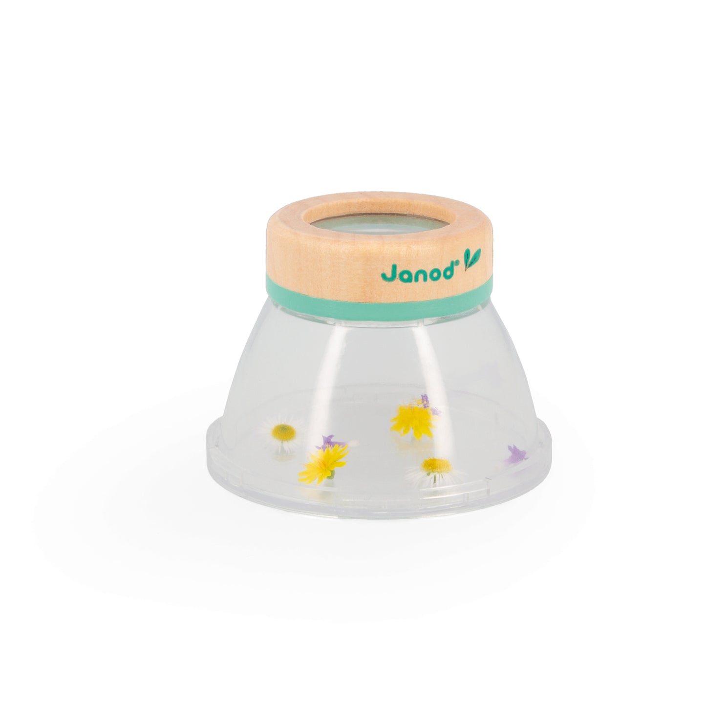 Observation Magnifier Display janod