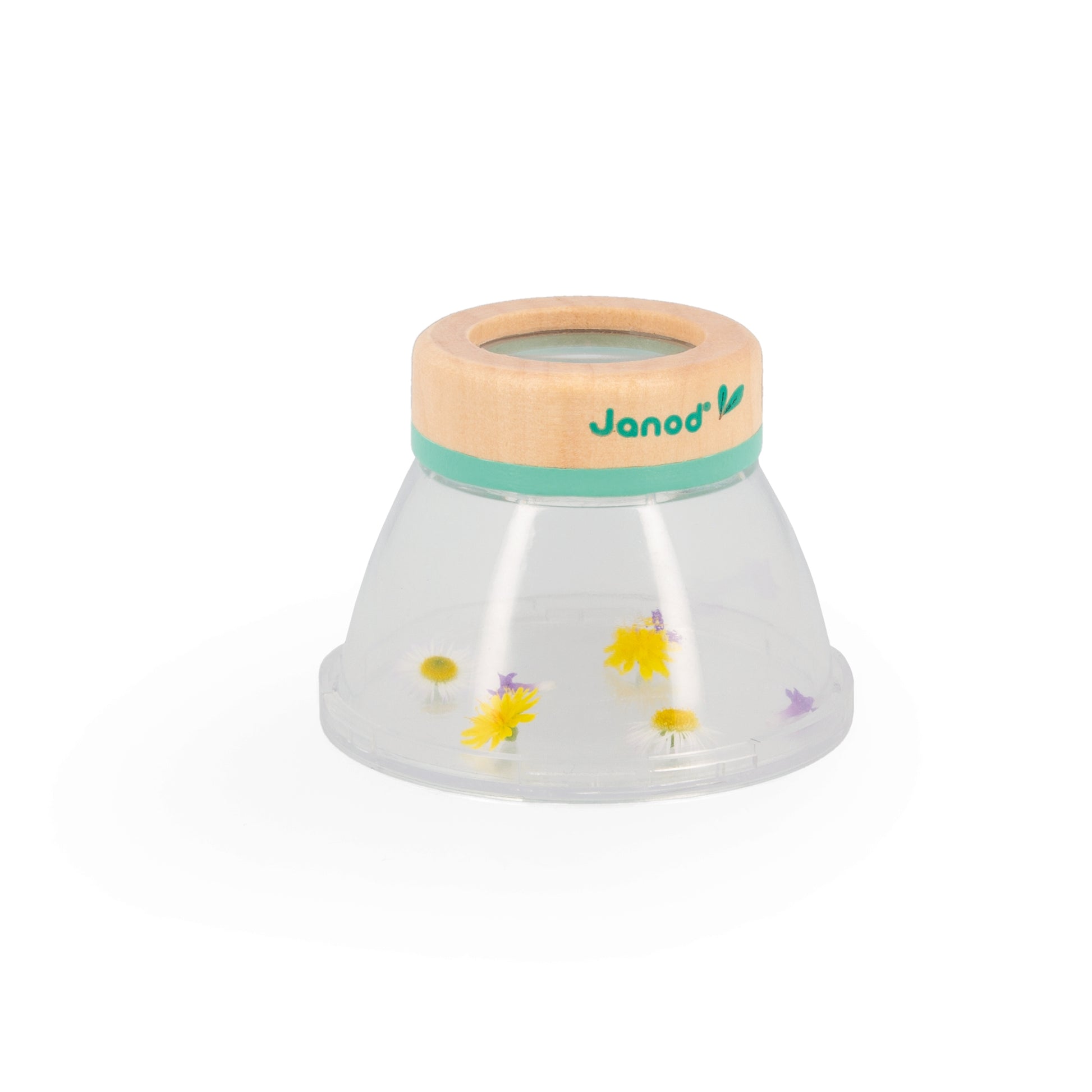 Observation Magnifier Display janod
