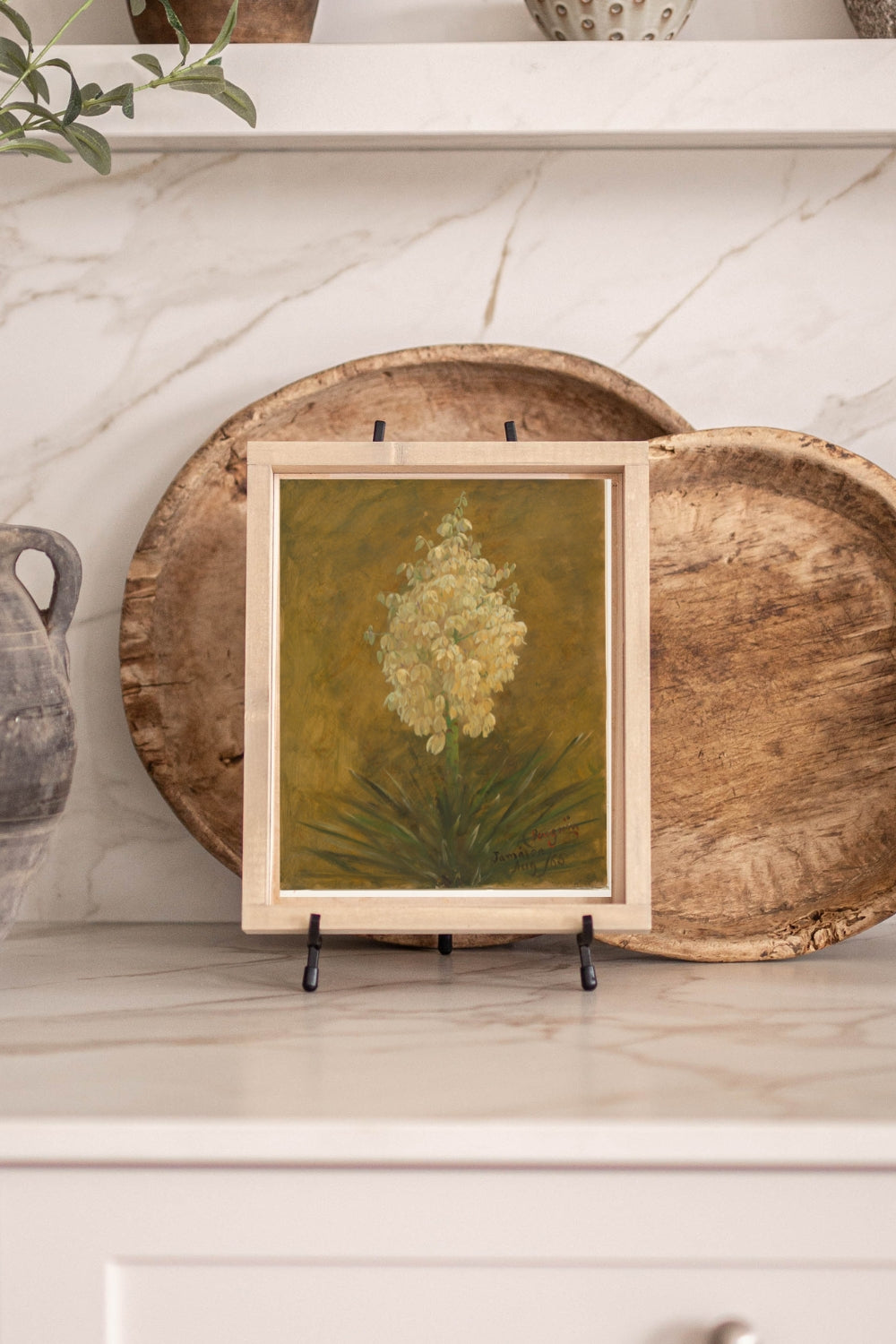 Vintage yucca print framed in wood