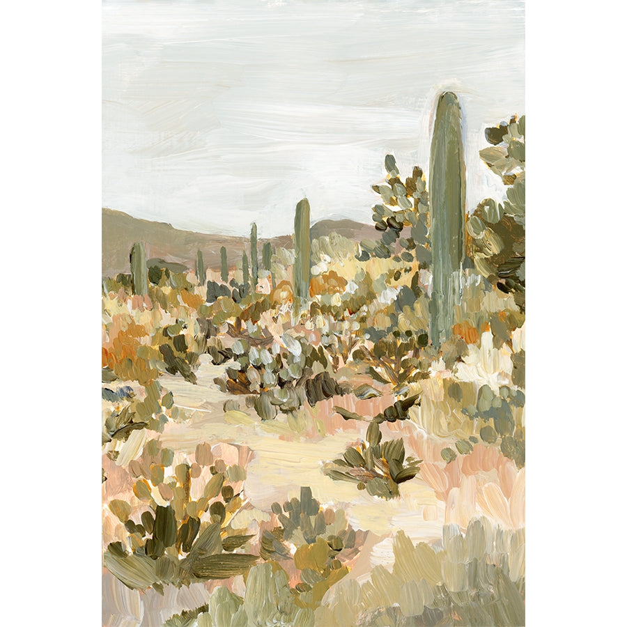 Cholla Canvas Print