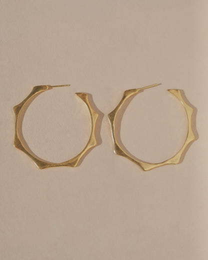 Sol Hoops