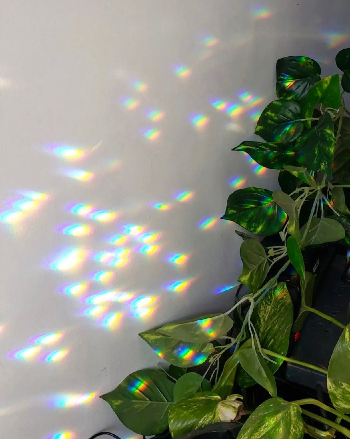 Artisan-crafted sun catcher made from hand forged/hammered brass wire and vintage faceted crystal. Ready to hang by your window where the light pours in and watch the rainbows dance around the room!