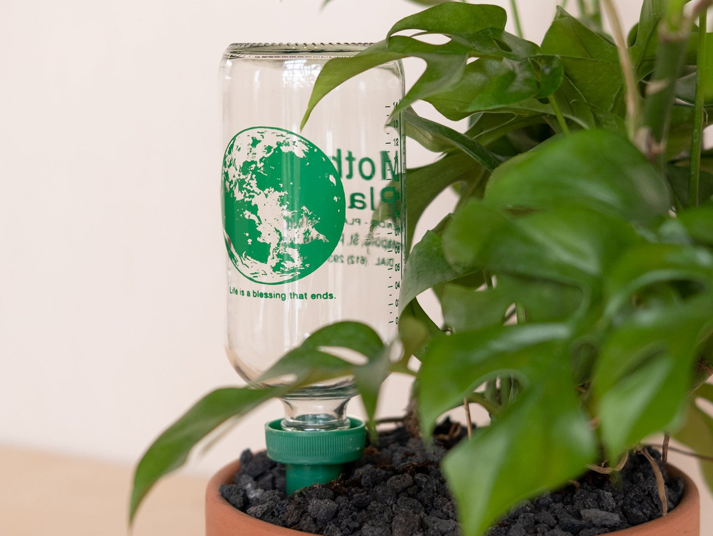 Self watering bottle for plants. Reduce, reuse, recycle! Going out of town? Fill this little puppy up and water will slowly disperse via osmosis through the ceramic tip into your plant buddy. BPA and BPS free.