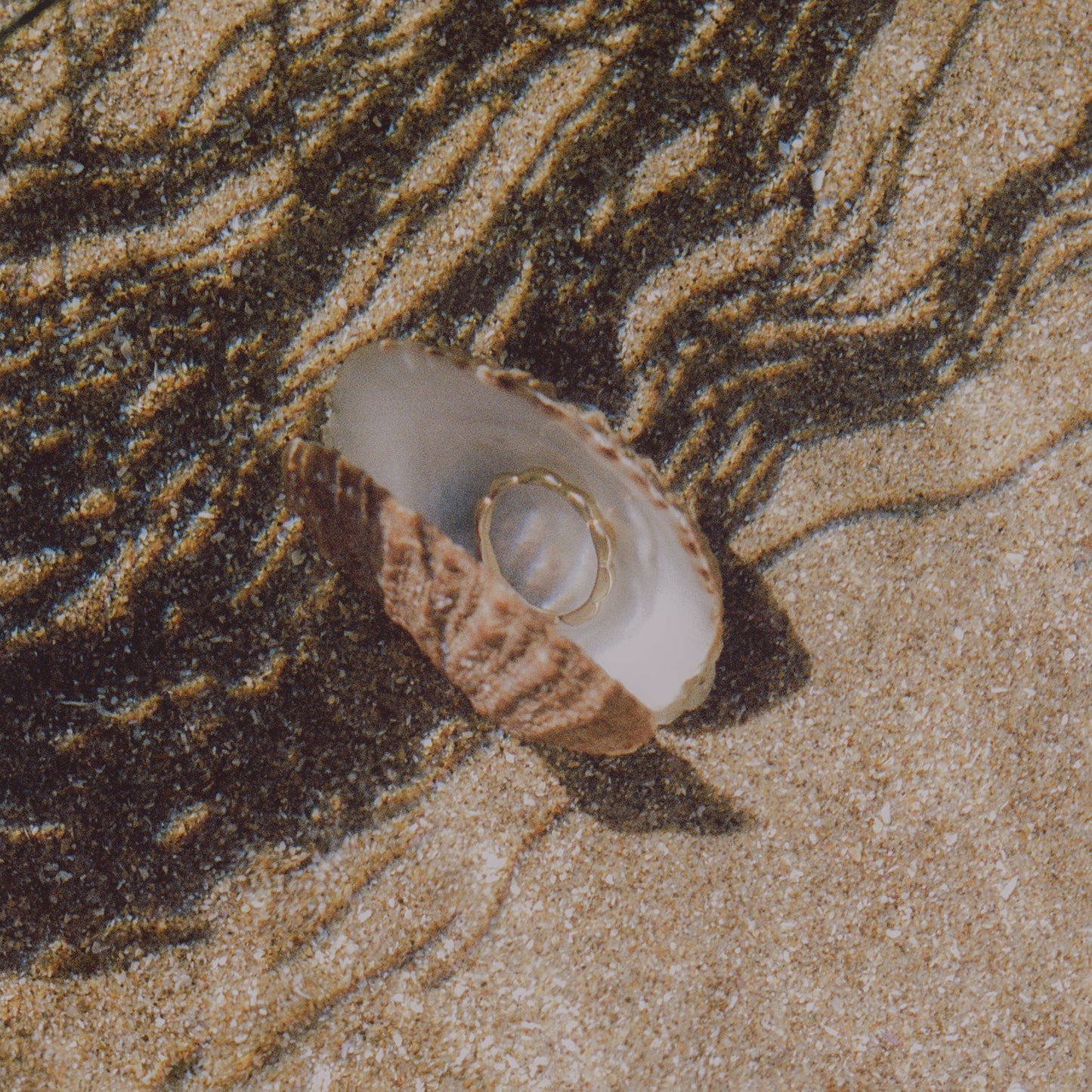 Sleek, shiny floral inspired petal ring, with a smooth scalloped edge, intended to represent blooming growth and development. Available in Gold Vermeil or Sterling Silver. Handmade in the Santa Cruz Mountains.