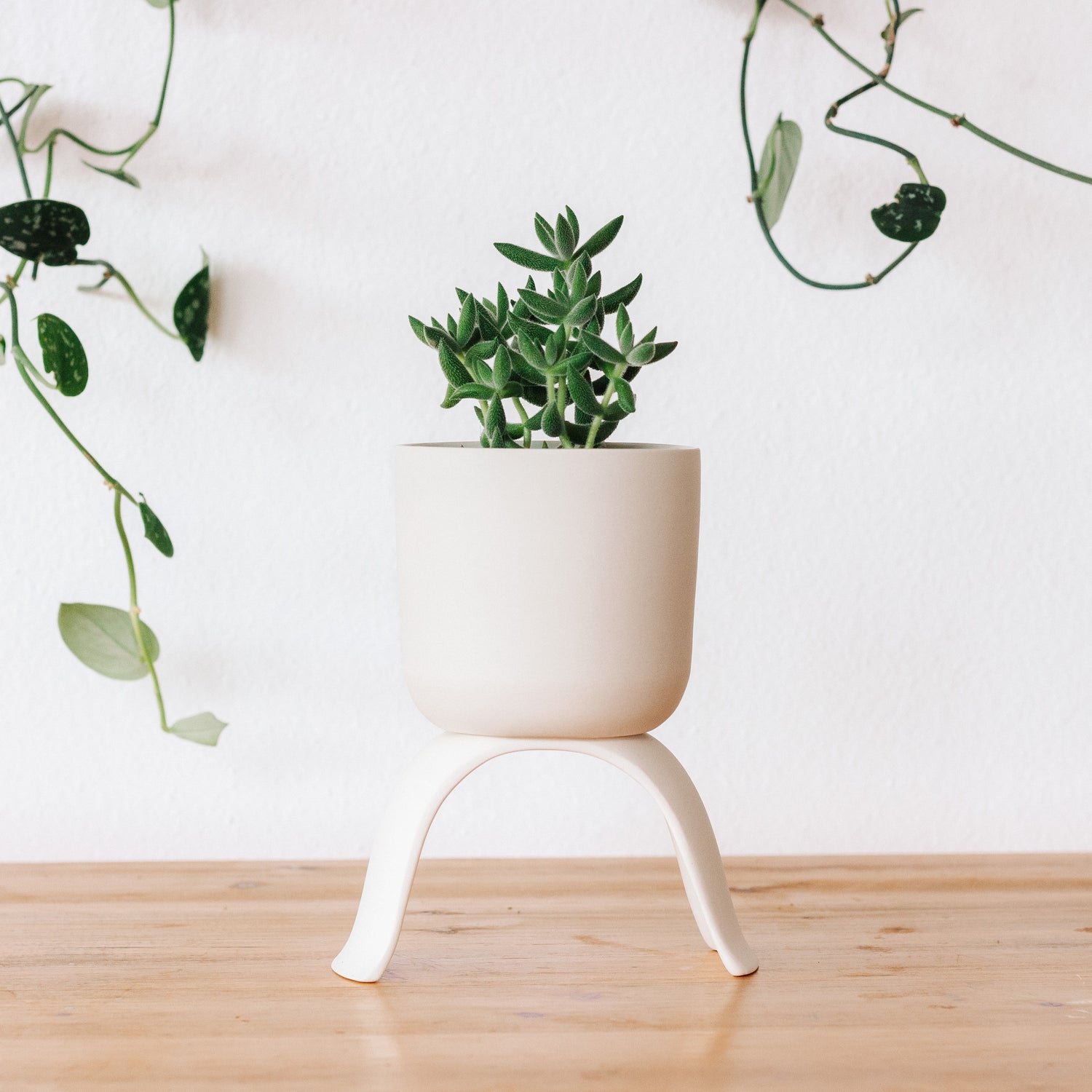 Give your plants a little lift - or use these porcelain planters as functional decor to hold candles, jewelry, as a catchall or in the kitchen.