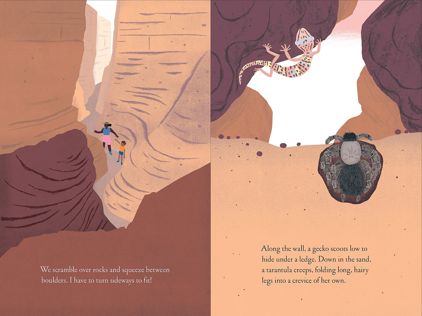 Over and Under the Canyon takes young readers on a thrilling tour of a desert canyon ecosystem. Discover all of the wonders concealed in the curves of a canyon.